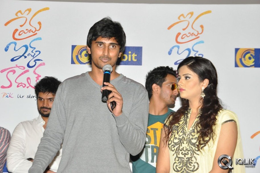 Prema-Ishq-Kaadhal-Platinum-Disc-Function